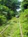 bambootraintrack_small.jpg