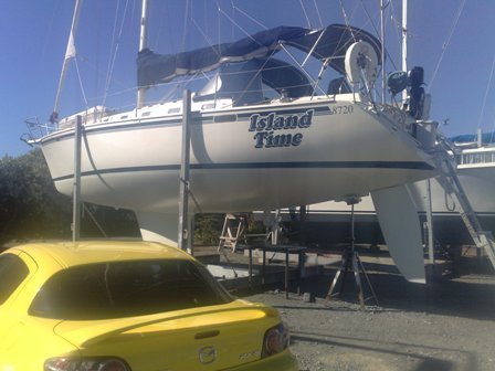 reantifouledwhitebeforesolotasmanrace.jpg