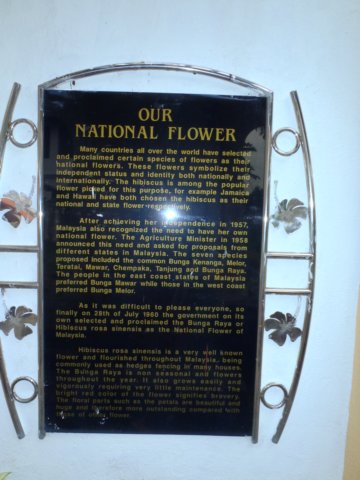 kualalumpurmalaysiannationalflowerinfo.jpg