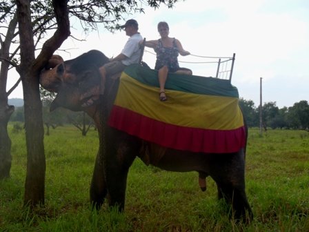 dambullaelephantride4.jpg