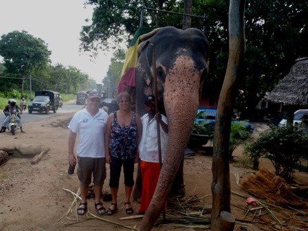 dambullaelephantride7.jpg