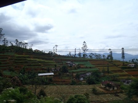 traintripcountryside2.jpg