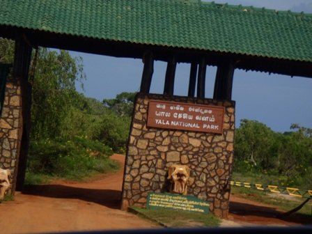 yalanationalpark.jpg