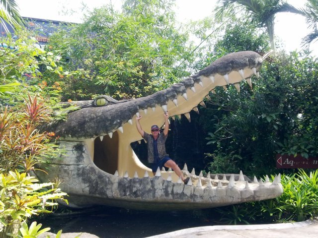 crocphuketzoo.jpg