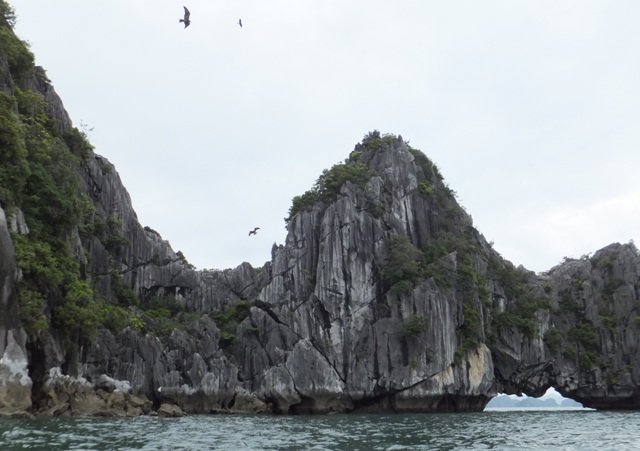 halongbaykayaktrip6.jpg