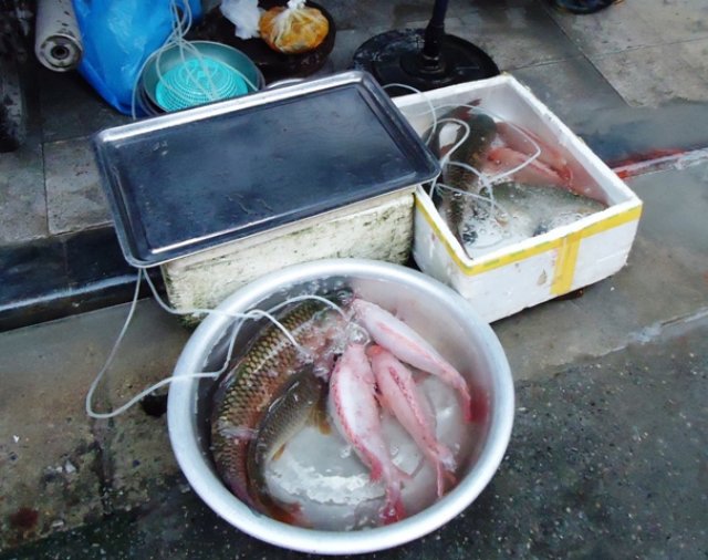 vietnammarketfreshfish.jpg